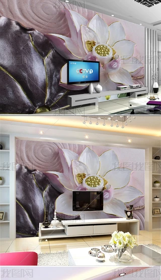 3Dɻ񱳾3Dbڮ