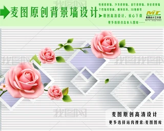 õ廨G~~DD