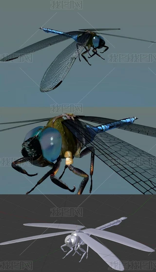 3Dģ