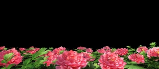 ӑB(ti)ĵNõ3Dģ