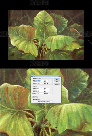 Ꭷֳͮ޴~ҕ͏d