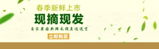 ԌˮcƷbannerģ