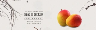ԌˮcƷbannerģ