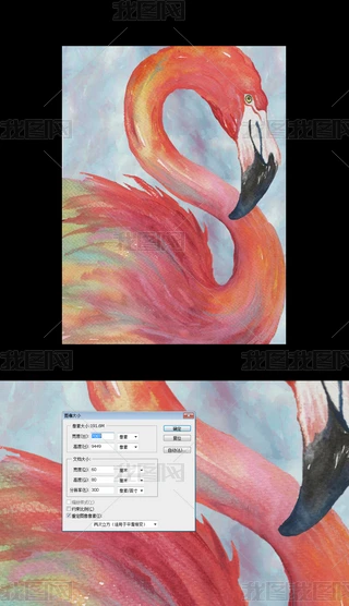 WLBQͮPo