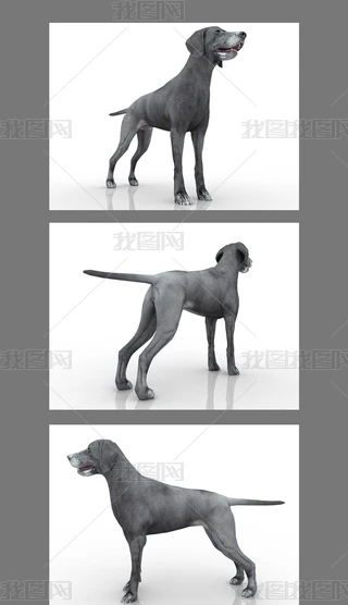 3Dģ