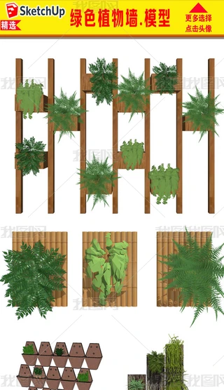 ֲģd