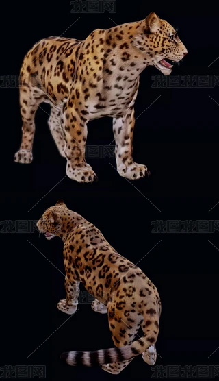 3dģ