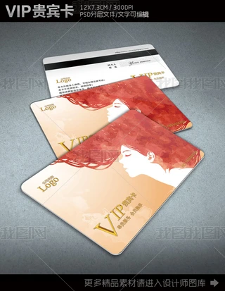 lVIPFeTOӋģ