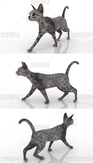 ؈3Dģ
