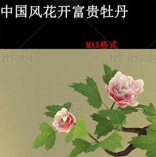 ЇL(fng)Pˮīĵ_Ӯ3Dģ