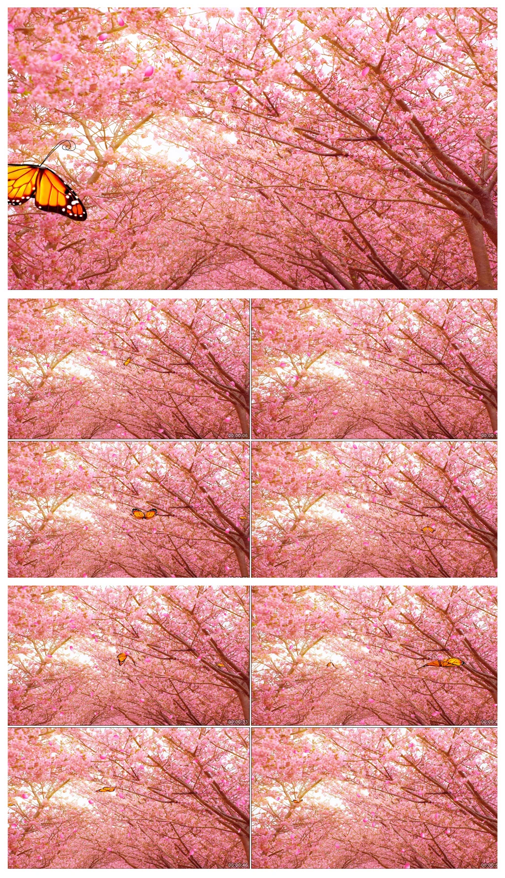 ҕl-_(ti)