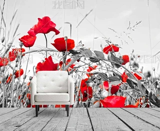 ڰ׼tɫrڱ