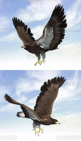 3Dģ