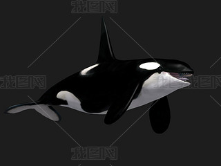 ӰҕLӮFBXʽ