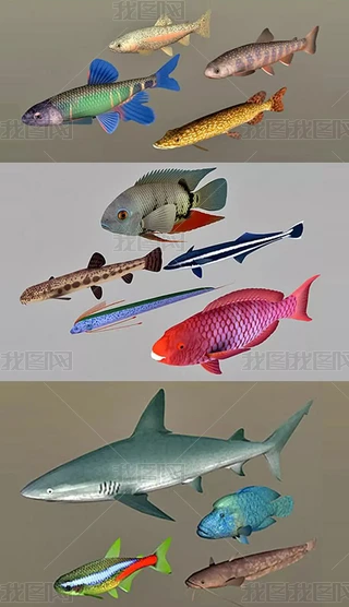 ~(y)3Dģ