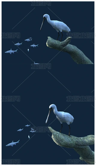 BR\qˮB~Ӯ3Dģ