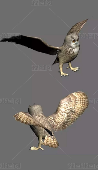 ؈^3Dģ