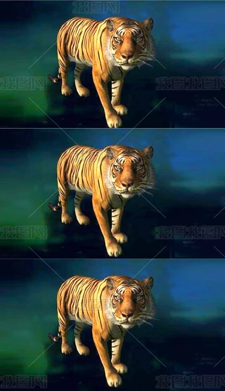 ϻ3Dģ