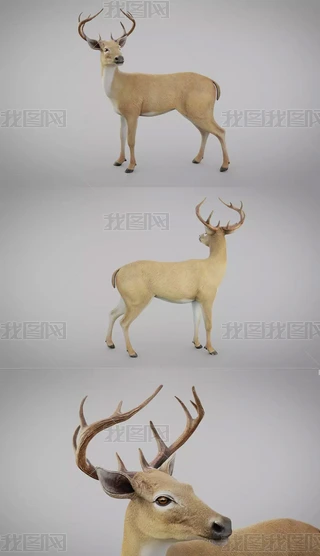 С¹3Dģ