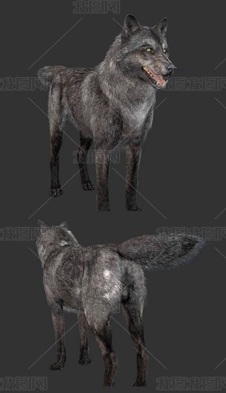 3Dģ