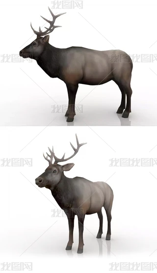 3d(dng)ģ