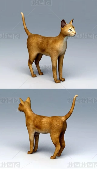 С؈3Dģ