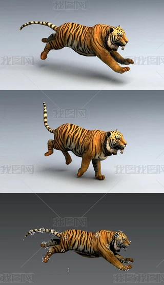 ϻ3Dģ