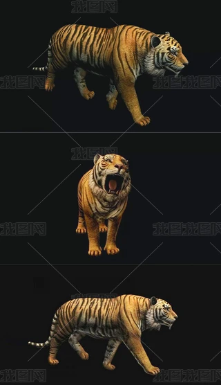 ϻ3Dģ