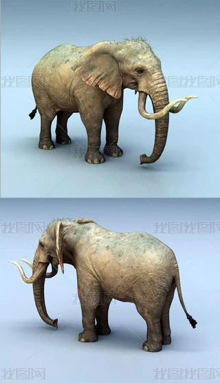 3Dģ