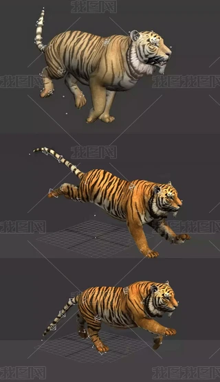 ϻ3Dģ