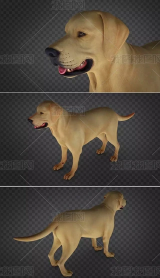 3Dģ