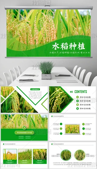 PPT-rI