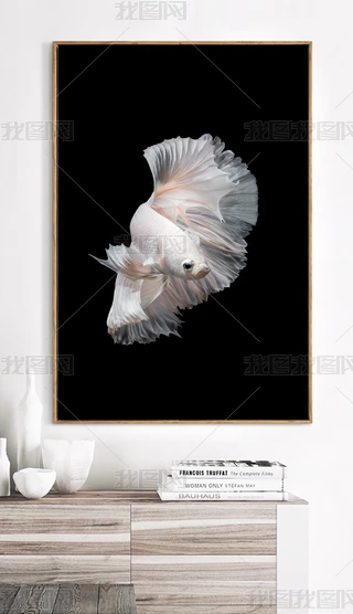 3DwȸfɫΨsWʽb