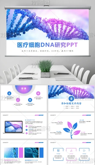 rt漚DNAоPPTģ