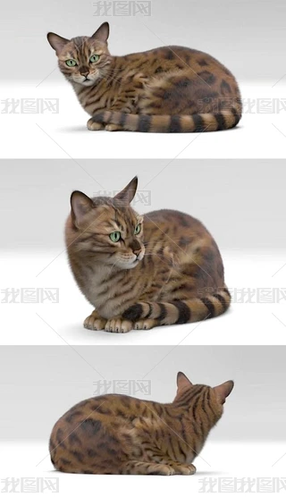 ؈3Dģ