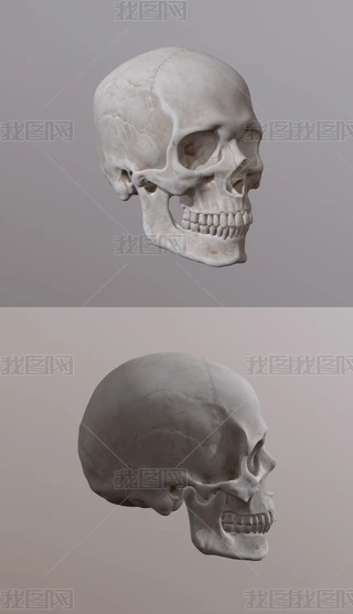 t^3Dģ