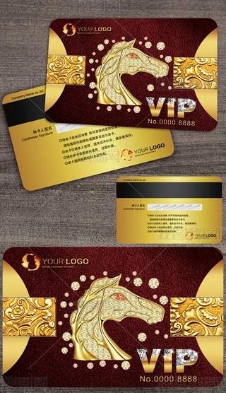 STFeVIP@ʯOӋ