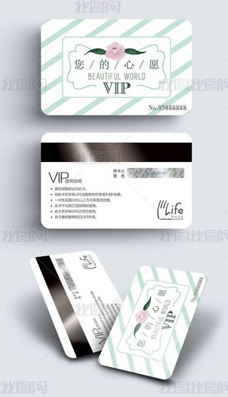 VIPFeOӋģ