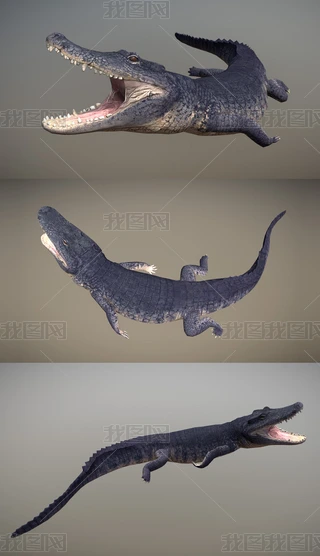 {~3Dģ