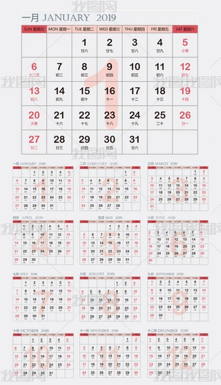2019՚vi_vv՚vl
