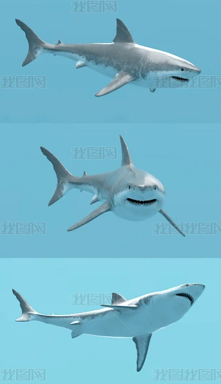 ~3Dģ