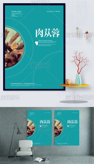 вˎ