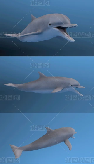 3Dģ