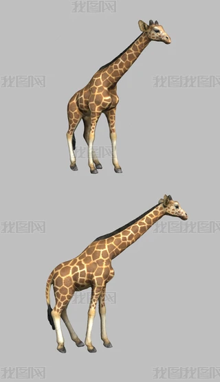 Li¹3Dģ