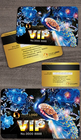 ȸĵ(hu)TFeVIP@ʯ