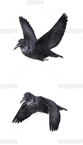 f3Dģ