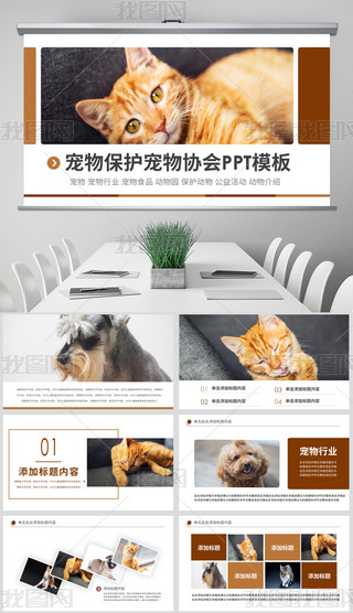 ИI(y)ﹷt(y)ԺʳƷPPTģ