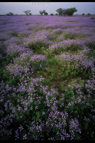 ¿_˹ݹҰﱣo^(q)(ni)һƬ_mҰ