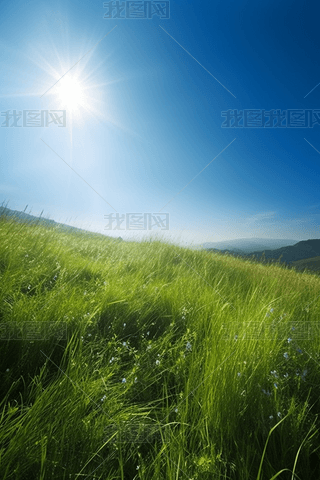 ľGݵꖹҫտ{(ln)