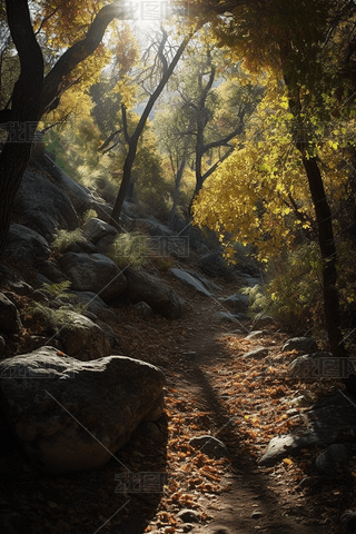 (gu)ҹ@(yng)͸^(gu)~ɭС